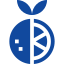 icon - clementine