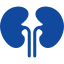 icon - kidney
